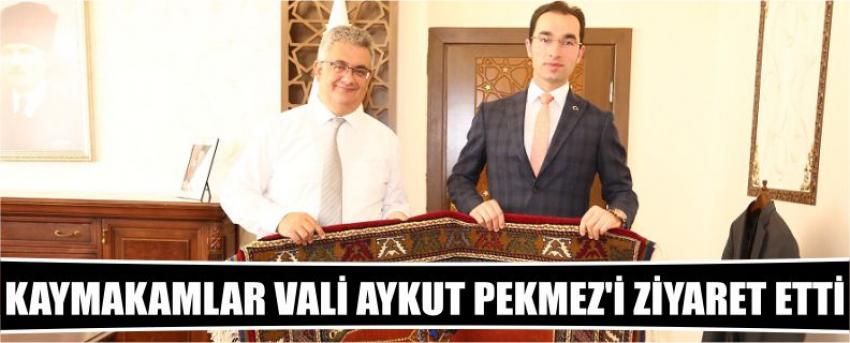 Kaymakamlar Vali Aykut Pekmez’i Ziyaret Etti