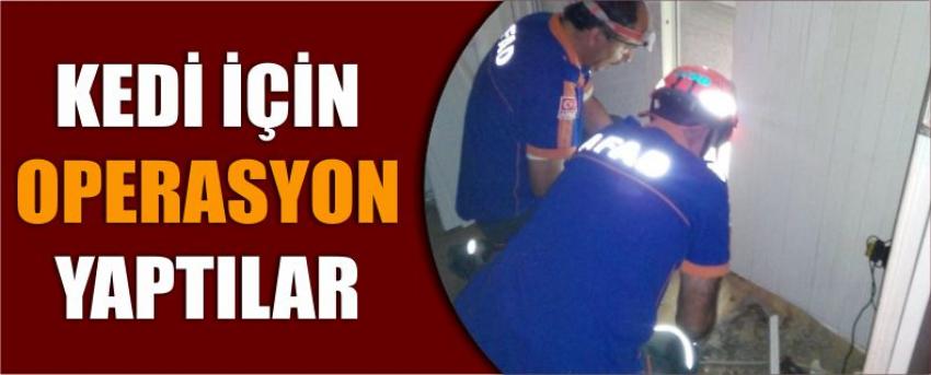 Kedi İçin Operasyon Yaptılar