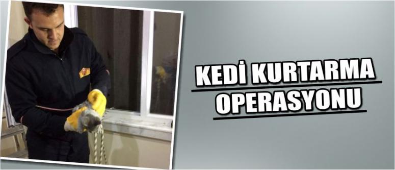 Kedi Kurtarma Operasyonu