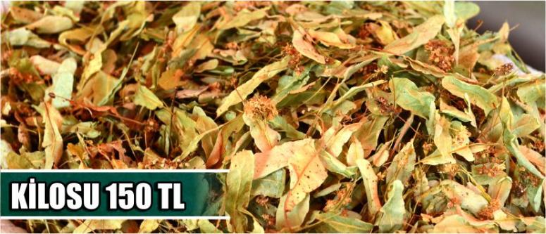 Kilosu 150 Tl