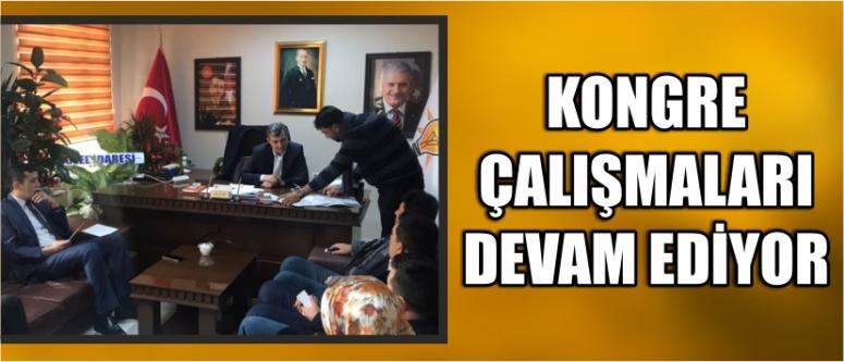 Kongre Çalışmaları Devam Ediyor