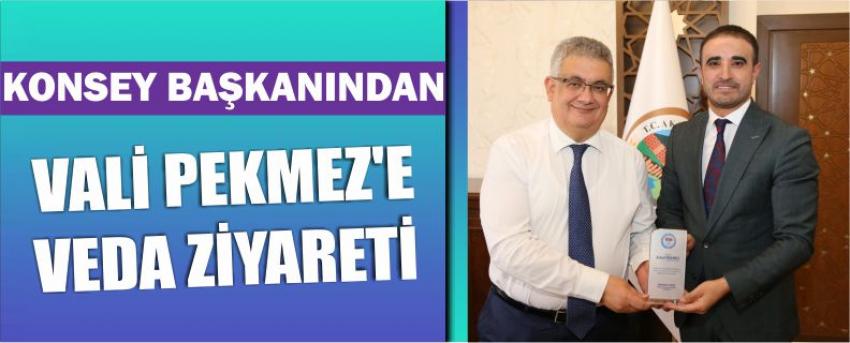 Konsey Başkanından Vali Pekmez’e Veda Ziyareti