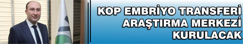 Kop Embriyo Transferi Araştırma Merkezi Kurulacak