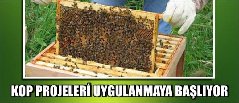 Kop Projeleri Uygulanmaya Başlıyor