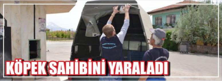 Köpek Sahibini Yaraladı