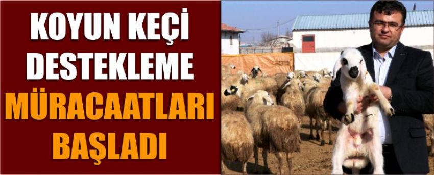 Koyun Keçi Destekleme Müracaatları Başladı