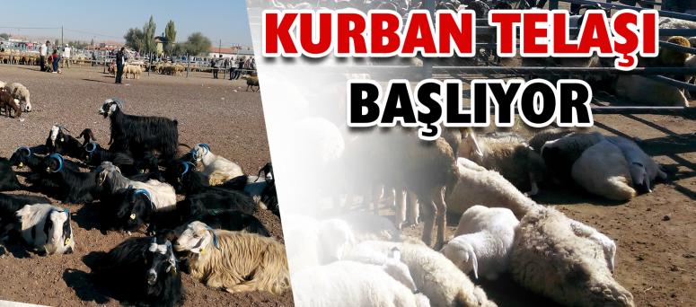 Kurban Telaşı Başlıyor