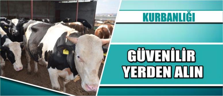 Kurbanlığı Güvenilir Yerden Alın