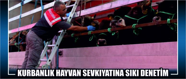 BağlantıSevkler Mercek Altında