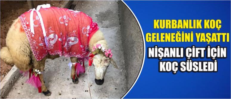 Kurbanlık Koç Geleneğini Yaşattı