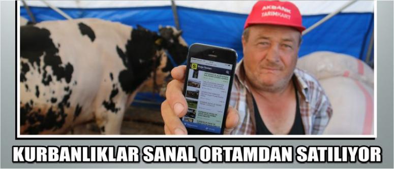 Kurbanlıklar Sanal Ortamdan Satılıyor