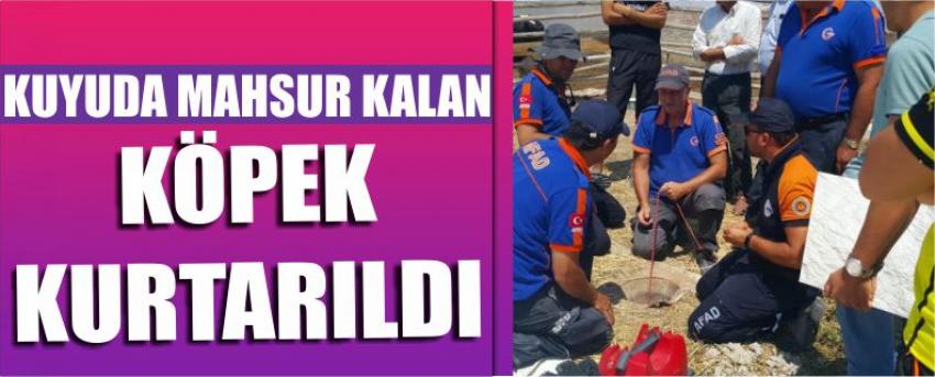 Kuyuda Mahsur Kalan Köpek Kurtarıldı