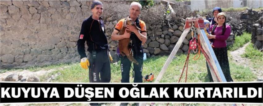 Kuyuya Düşen Oğlak Kurtarıldı