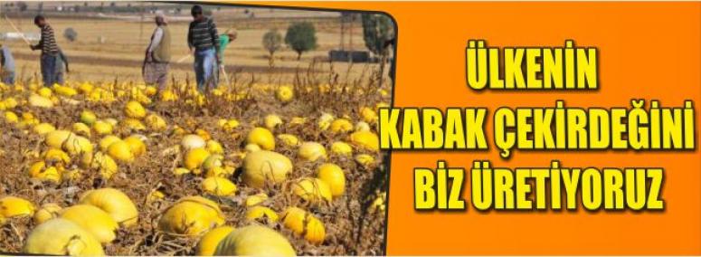 Ülkenin Kabak Çekirdeğini Biz Üretiyoruz