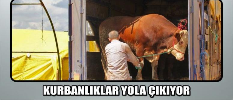 Kurbanlıklar Yola Çıkıyor