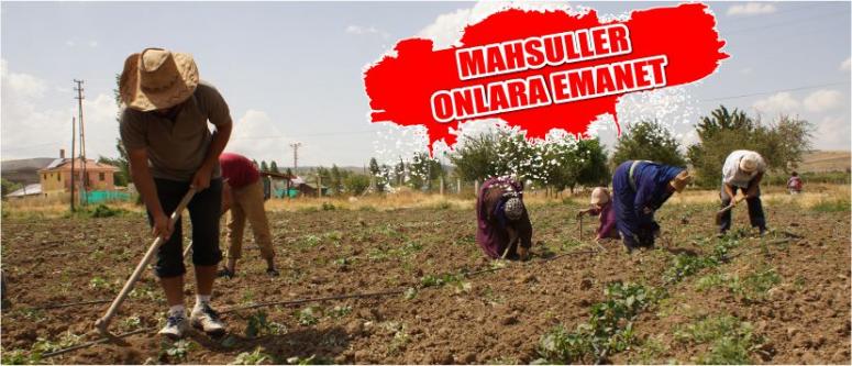 Mahsuller Onlara Emanet