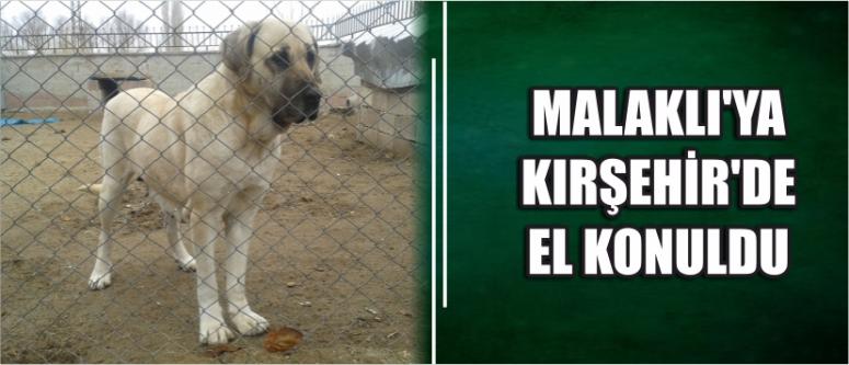  Malaklı’ya Kırşehir’de El Konuldu