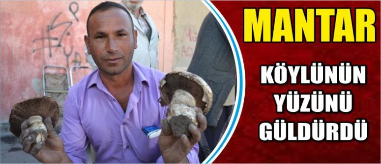 Mantar Köylünün Yüzünü Güldürdü