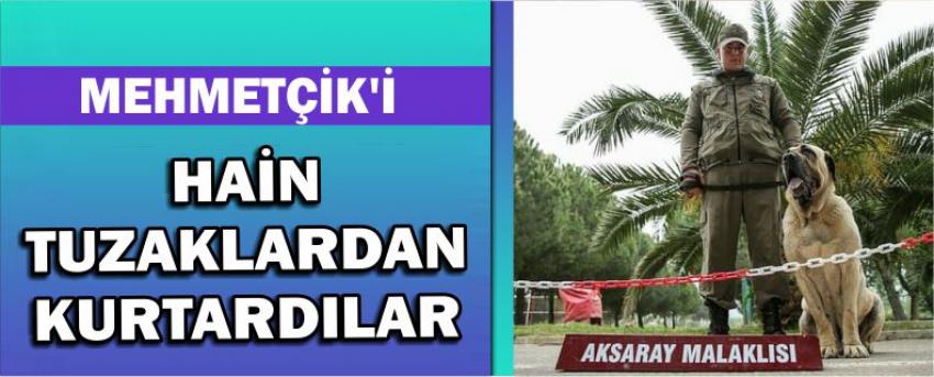 Mehmetçik’i Hain Tuzaklardan Kurtardılar