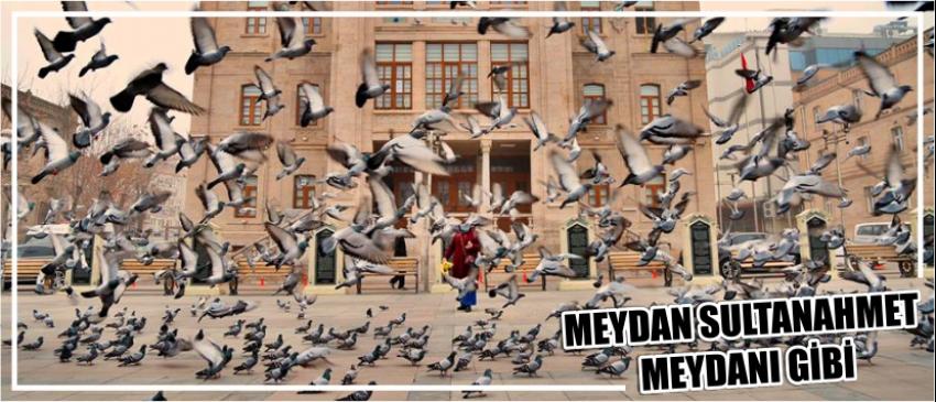  Meydan Sultanahmet Meydanı Gibi