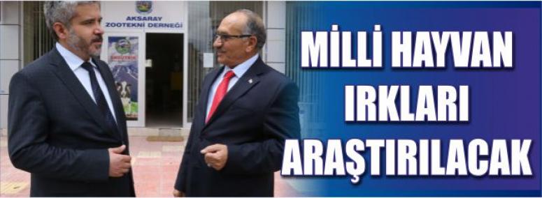 Milli Hayvan Irkları Araştırılacak