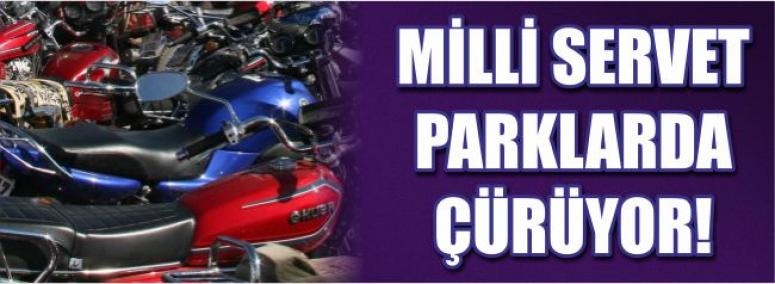 Milli Servet Parklarda Çürüyor 
