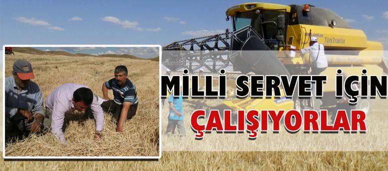 Milli Servet İçin Çalışıyorlar
