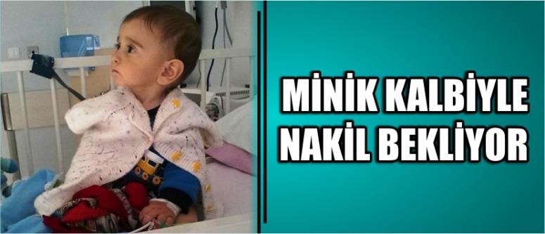 Minik Kalbiyle Nakil Bekliyor
