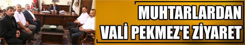 Muhtarlardan Vali Pekmez’e Ziyaret