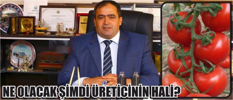 Ne Olacak Şimdi Üreticinin Hali?