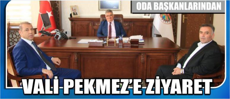 Oda Başkanlarından Vali Pekmez’e Ziyaret