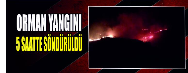 Orman Yangını 5 Saatte Söndürüldü