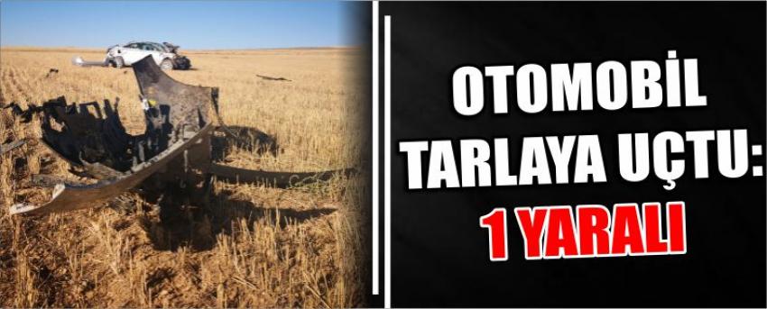 Otomobil Tarlaya Uçtu: 1 Yaralı