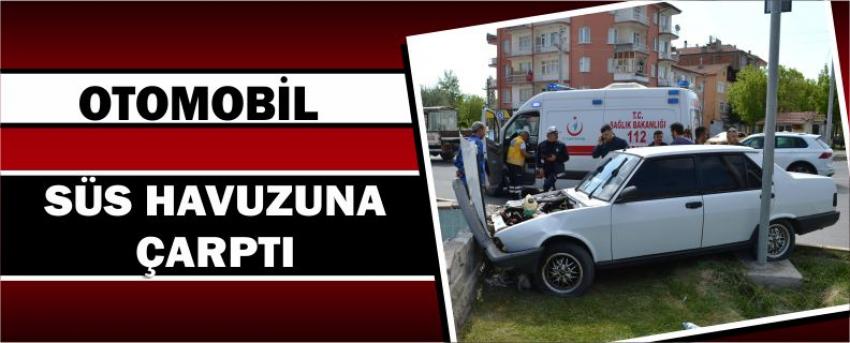 Otomobil Süs Havuzuna Çarptı
