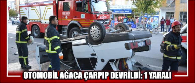Otomobil Ağaca Çarpıp Devrildi: 1 Yaralı