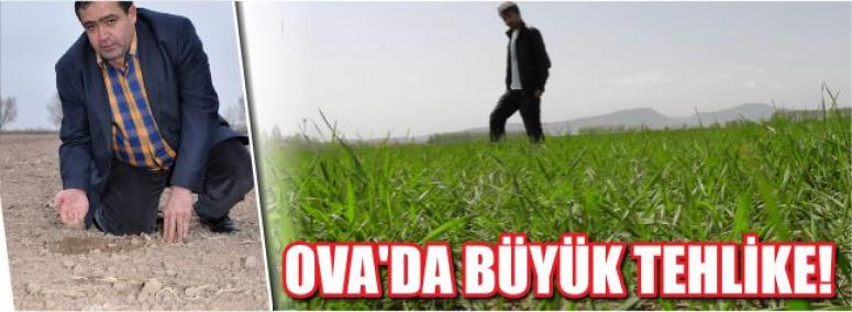 Ova’da büyük tehlike!
