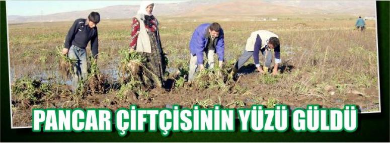 Pancar Çiftçisinin Yüzü Güldü