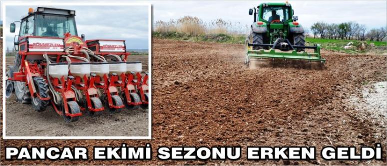 Pancar Ekimi Sezonu Erken Geldi