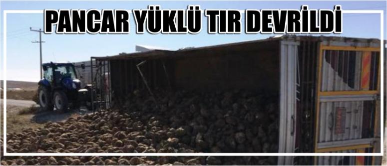 Pancar Yüklü Tır Devrildi