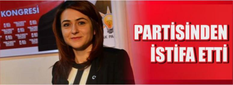 Partisinden İstifa Etti