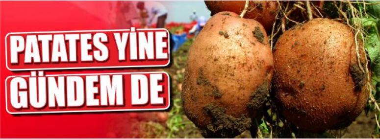 Patates Yine Gündem De
