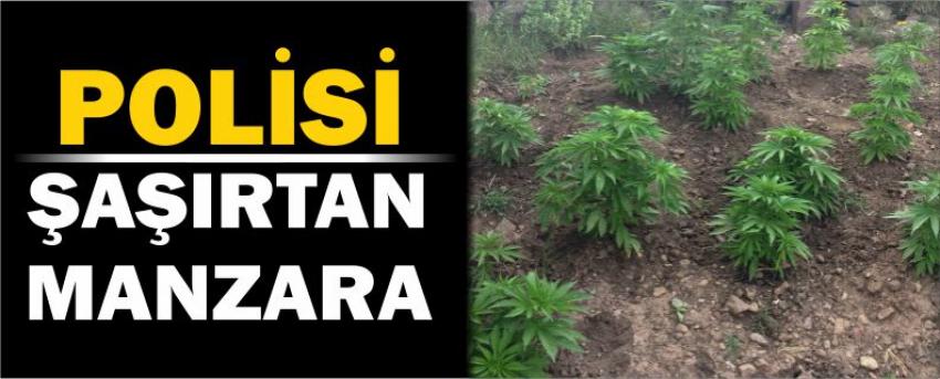 Polisi Şaşırtan Manzara