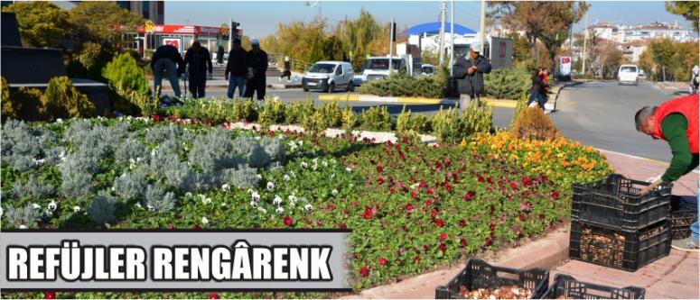 Refüjler Rengârenk
