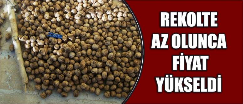 Rekolte Az Olunca Fiyat Yükseldi