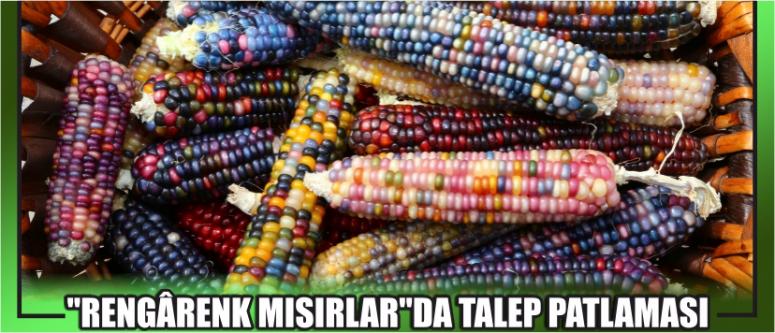 "Rengârenk Mısırlar"Da Talep Patlaması