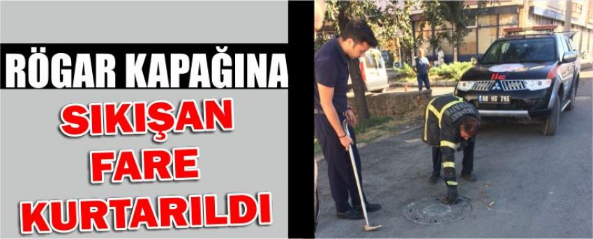 Rögar Kapağına Sıkışan Fare Kurtarıldı