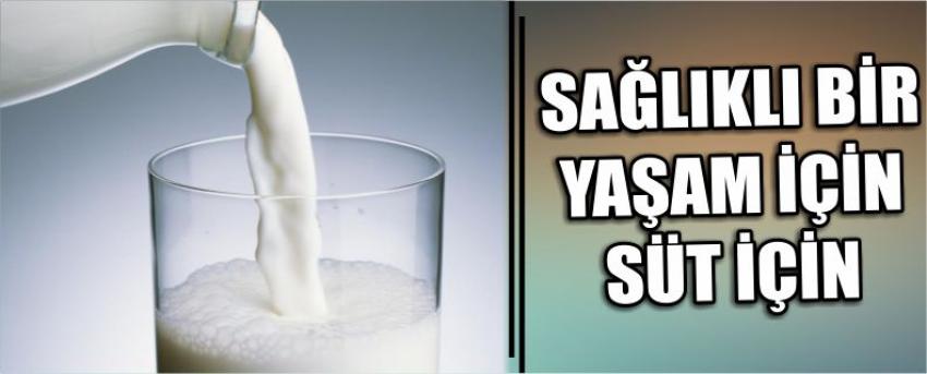 Sağlıklı Bir Yaşam İçin Süt İçin