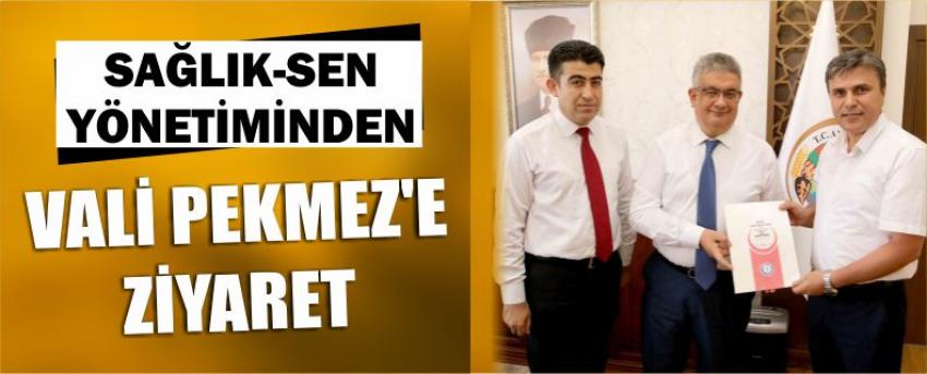 Sağlık-Sen Yönetiminden Vali Pekmez’e Ziyaret