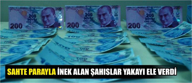 Sahte Parayla İnek Alan Şahıslar Yakayı Ele Verdi