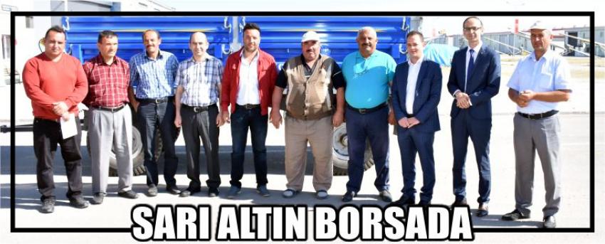 Sarı Altın Borsada